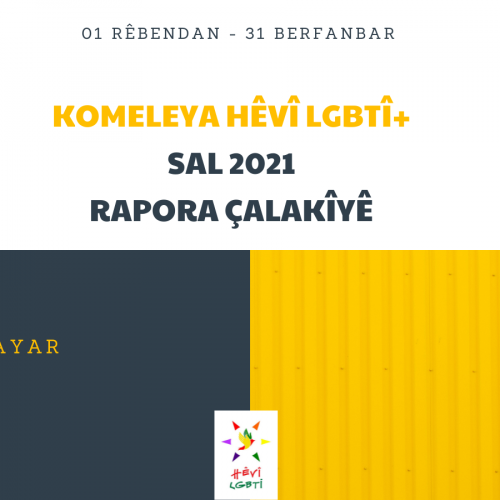 HEVI-LGBTI-DERNEGI-2021-YILI-FAALIYET-RAPORU-twitter